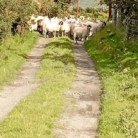 Mountain Holiday home Aghavannagh